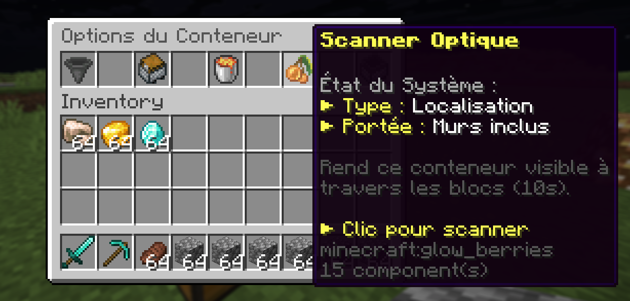 Scanner coffre